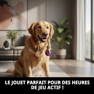 Mordeur TPR Collection Dior Pet : Amusement et Santé Canine 2