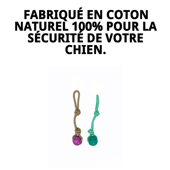 Mordeur TPR Collection Dior Pet : Amusement et Santé Canine