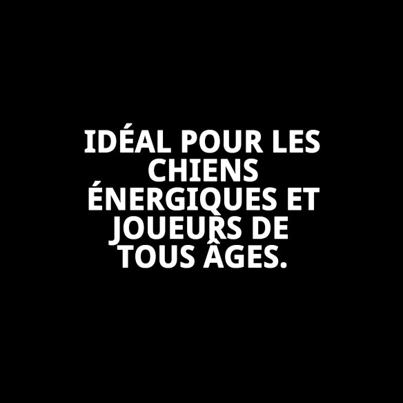 Mordeur TPR Collection Dior Pet : Amusement et Santé Canine