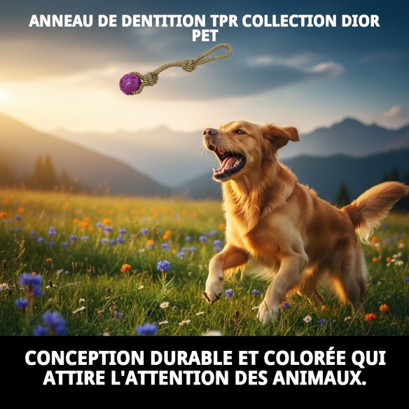 Mordeur TPR Collection Dior Pet : Amusement et Santé Canine