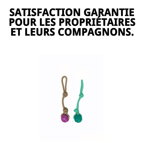 Mordeur TPR Collection Dior Pet : Amusement et Santé Canine