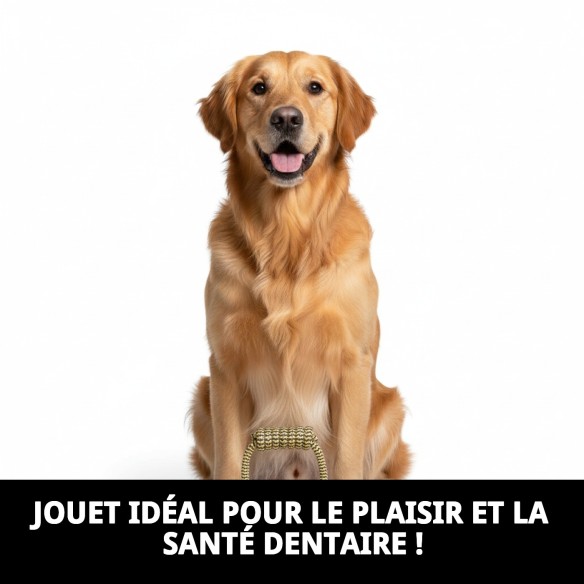 Mordeur TPR Rond Dior Pet : Amusement et Santé Dentaire