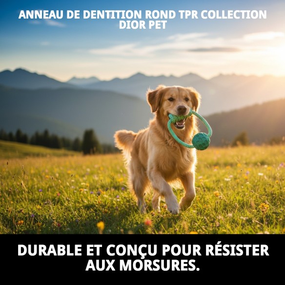 Mordeur TPR Rond Dior Pet : Amusement et Santé Dentaire
