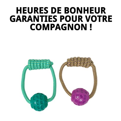 Mordeur TPR Rond Dior Pet : Amusement et Santé Dentaire