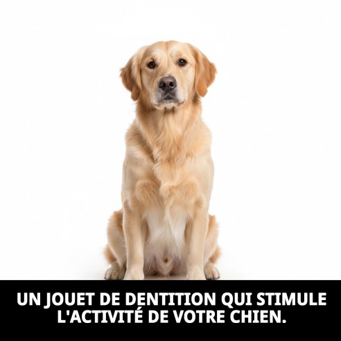 Mordeur Balle 45 cm Wow : Amusement et Santé pour votre Chien