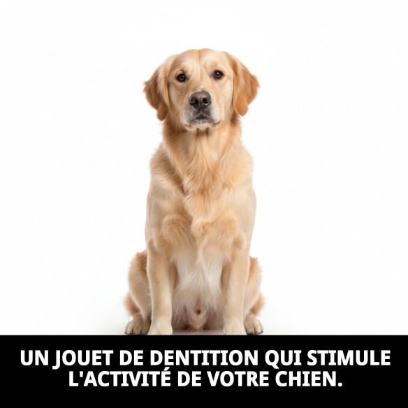 Mordeur Balle 45 cm Wow : Amusement et Santé pour votre Chien