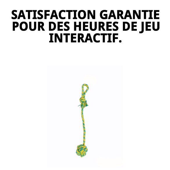 Mordeur Balle 45 cm Wow : Amusement et Santé pour votre Chien