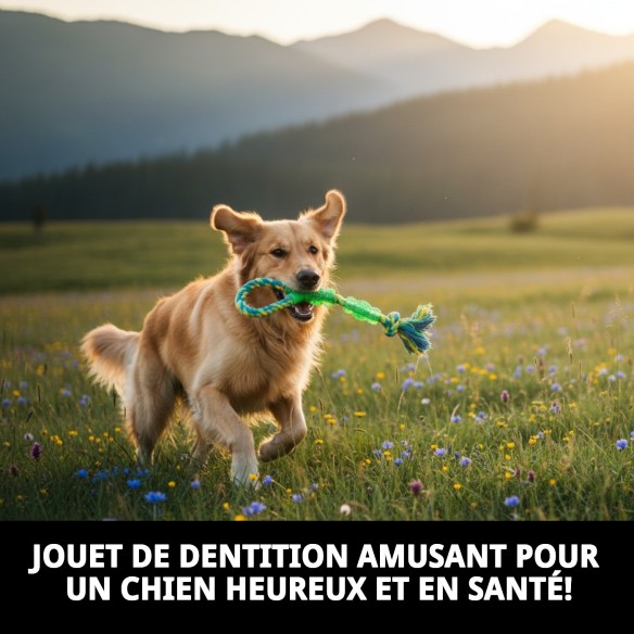 Mordeur Lanceur 40 cm : Amusement et Santé pour votre Chien