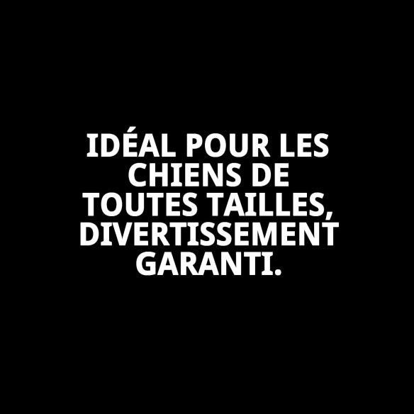 Mordeur Lanceur 40 cm : Amusement et Santé pour votre Chien