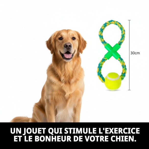Lanceur de balle Wow : Amusement et exercice pour votre chien.