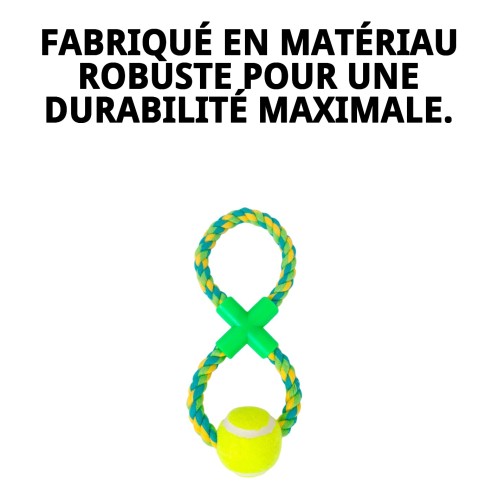 Lanceur de balle Wow : Amusement et exercice pour votre chien.