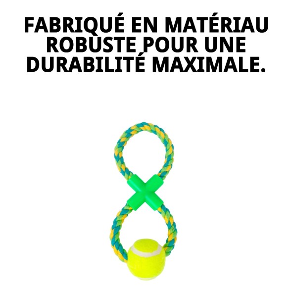 Lanceur de balle Wow : Amusement et exercice pour votre chien.