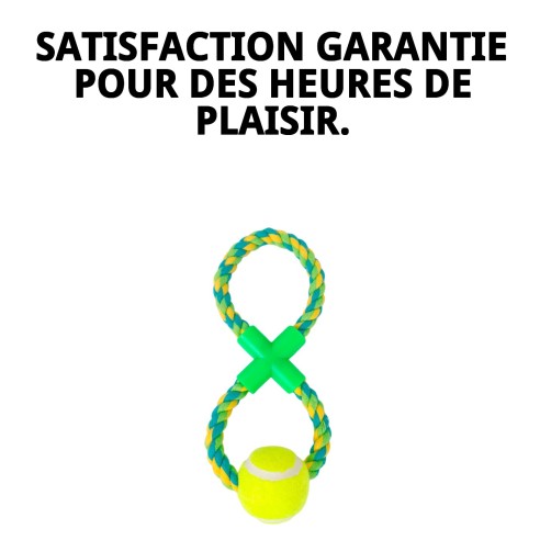 Lanceur de balle Wow : Amusement et exercice pour votre chien.