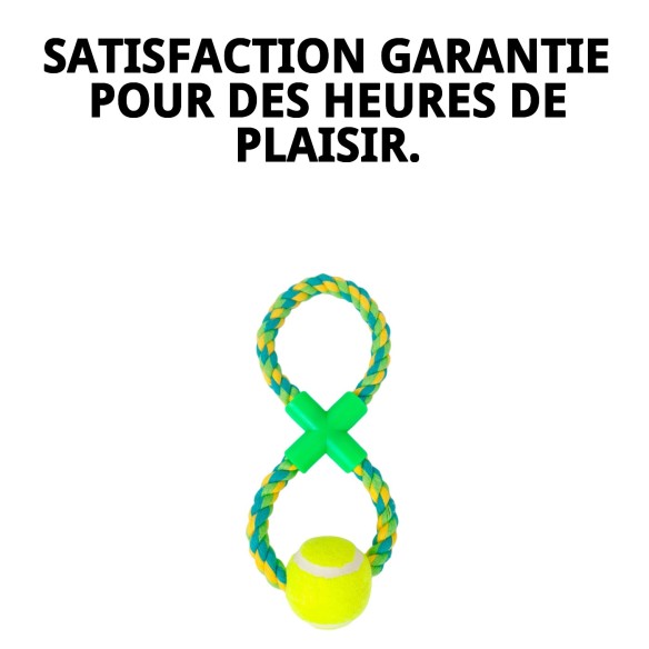 Lanceur de balle Wow : Amusement et exercice pour votre chien.