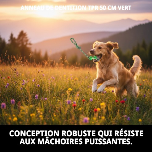 Mordeur TPR 50 cm Vert : Jouet Durable pour Chiens