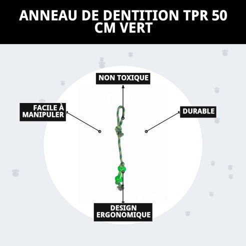 Mordeur TPR 50 cm Vert : Jouet Durable pour Chiens