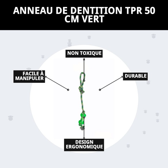 Mordeur TPR 50 cm Vert : Jouet Durable pour Chiens
