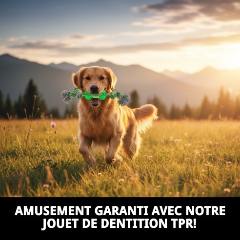 Mordeur TPR de 26 cm pour chiens, amusement et santé dentaire.