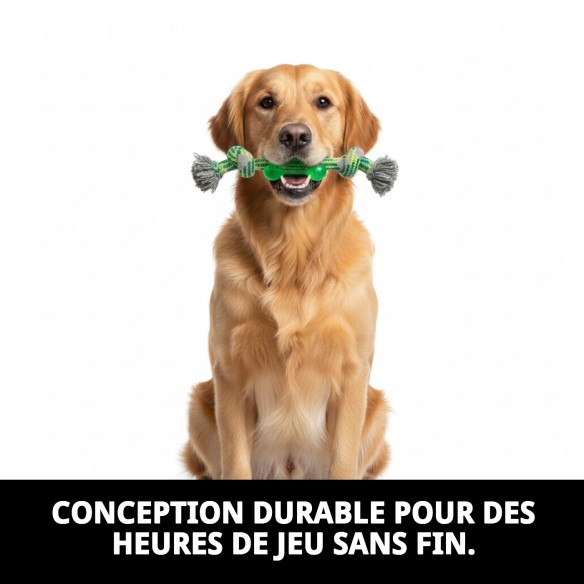 Mordeur TPR de 26 cm pour chiens, amusement et santé dentaire.
