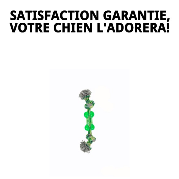 Mordeur TPR de 26 cm pour chiens, amusement et santé dentaire.