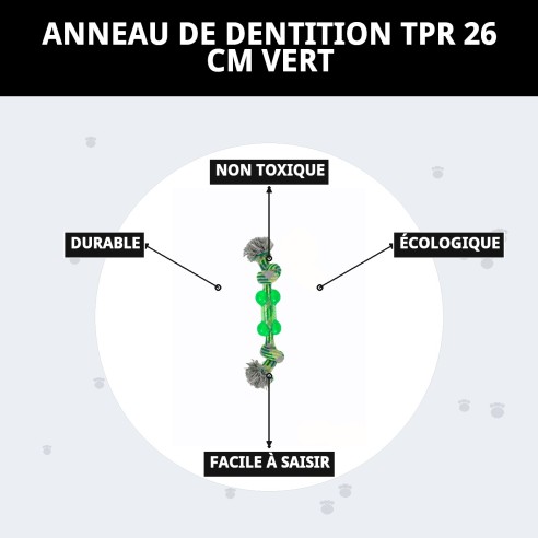 Mordeur TPR de 26 cm pour chiens, amusement et santé dentaire.