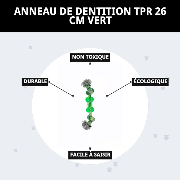 Mordeur TPR de 26 cm pour chiens, amusement et santé dentaire.