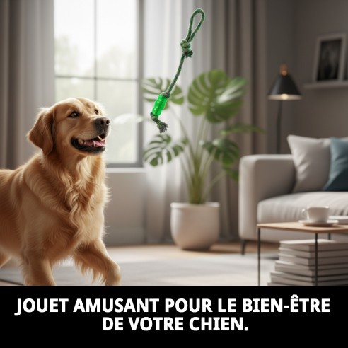 Lanceur TPR/Coton 50 cm pour chiens - Amusement et soin