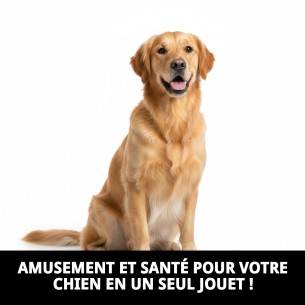 Mordeur en forme de balle pour chiens 100% coton - Jouet amusant 2