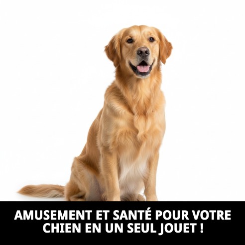 Mordeur en forme de balle pour chiens 100% coton - Jouet amusant