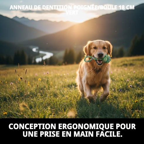 Mordeur Balle 18 cm Vert : Amusement et Santé Canine