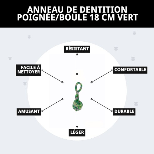 Mordeur Balle 18 cm Vert : Amusement et Santé Canine
