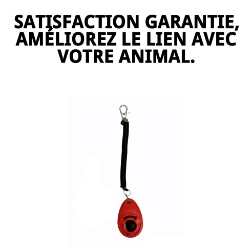 Entraînement au Clicker avec Mousqueton : Éduquez Votre Animal Facilement