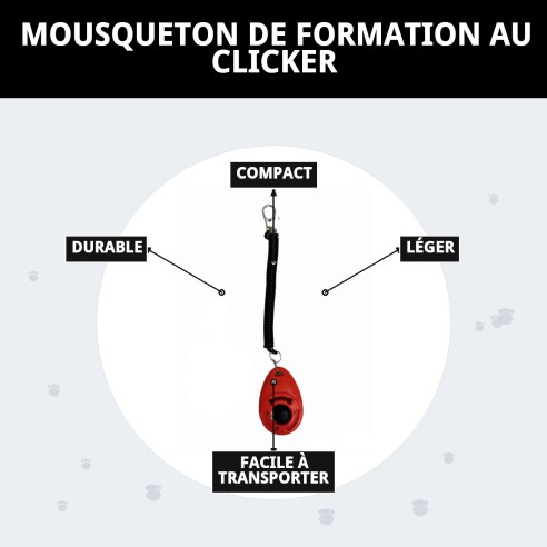 Entraînement au Clicker avec Mousqueton : Éduquez Votre Animal Facilement