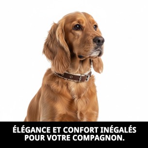 Collier de luxe en cuir Nuage 1,5x35cm pour votre animal élégant. 2