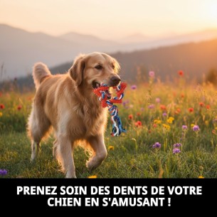 Mordeur Étoile Dentaire TPR pour Chiens - 26 cm 2