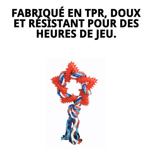 Mordeur Étoile Dentaire TPR pour Chiens - 26 cm