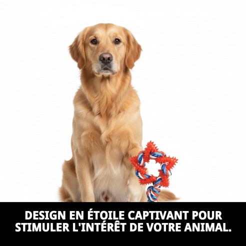 Mordeur Étoile Dentaire TPR pour Chiens - 26 cm