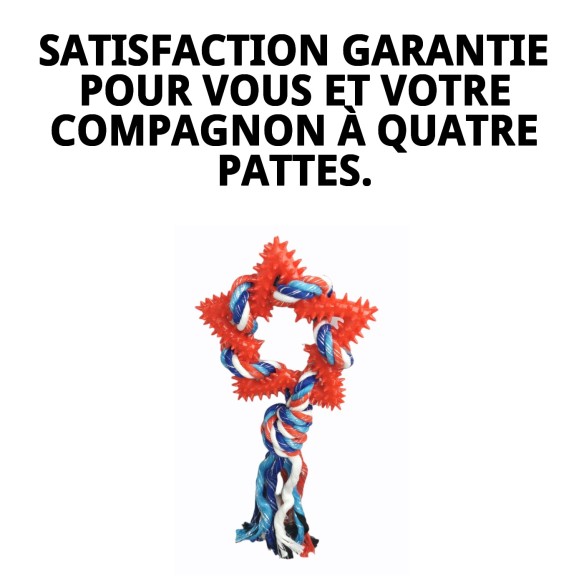 Mordeur Étoile Dentaire TPR pour Chiens - 26 cm