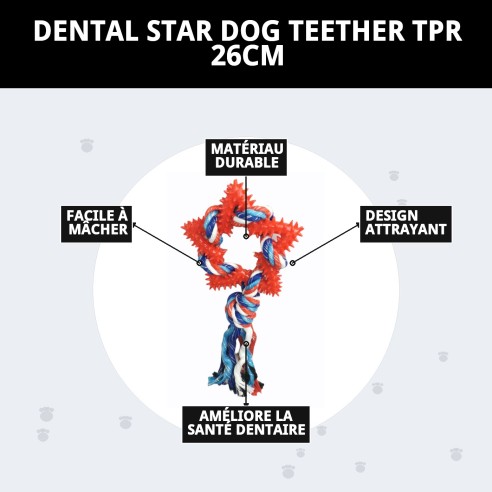 Mordeur Étoile Dentaire TPR pour Chiens - 26 cm