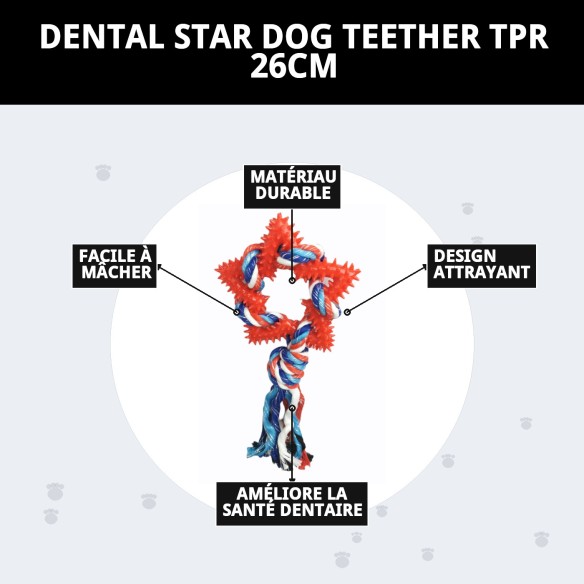 Mordeur Étoile Dentaire TPR pour Chiens - 26 cm