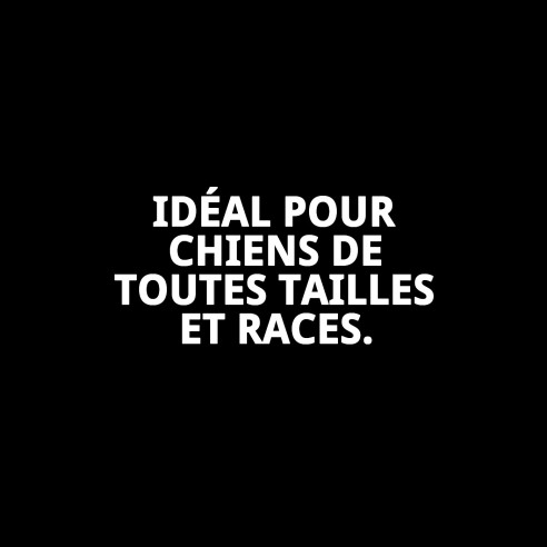 Jouet à mâcher Avocat Happy 12 cm pour votre animal de compagnie