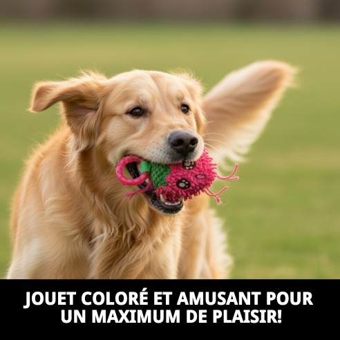 Jouet Sucette en Peluche Fraise 18 cm pour Animaux de Compagnie Amusant