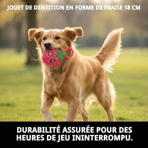 Jouet Sucette en Peluche Fraise 18 cm pour Animaux de Compagnie Amusant