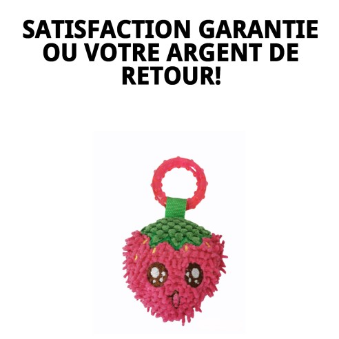 Jouet Sucette en Peluche Fraise 18 cm pour Animaux de Compagnie Amusant