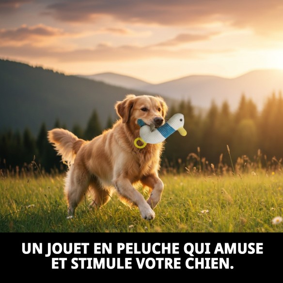 Peluche Mordeur en Silicone Canard 22 cm pour Chiens - Moly