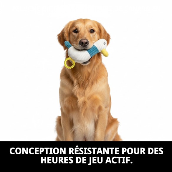 Peluche Mordeur en Silicone Canard 22 cm pour Chiens - Moly