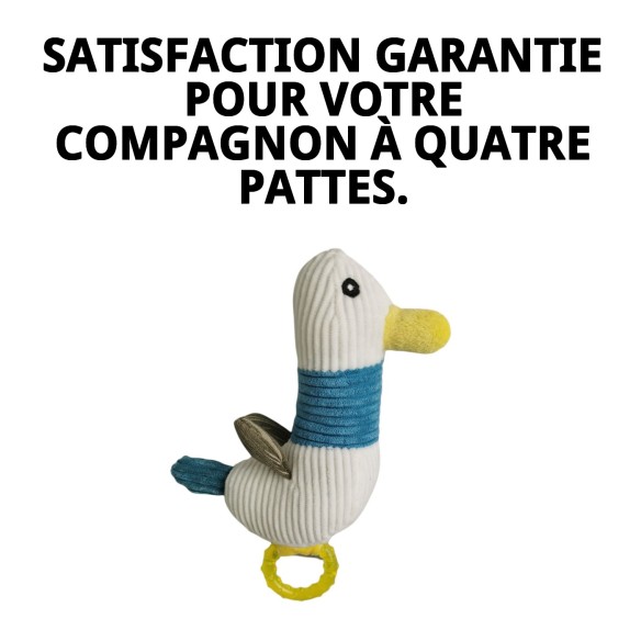 Peluche Mordeur en Silicone Canard 22 cm pour Chiens - Moly