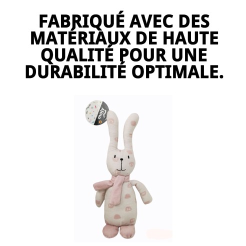 Peluche Lapin Tendance pour Chien - 25 cm de Plaisir