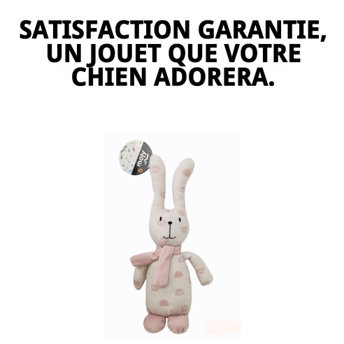 Peluche Lapin Tendance pour Chien - 25 cm de Plaisir