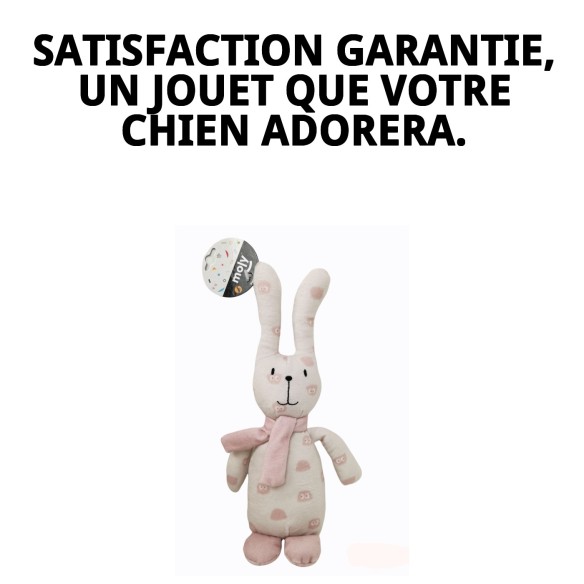 Peluche Lapin Tendance pour Chien - 25 cm de Plaisir